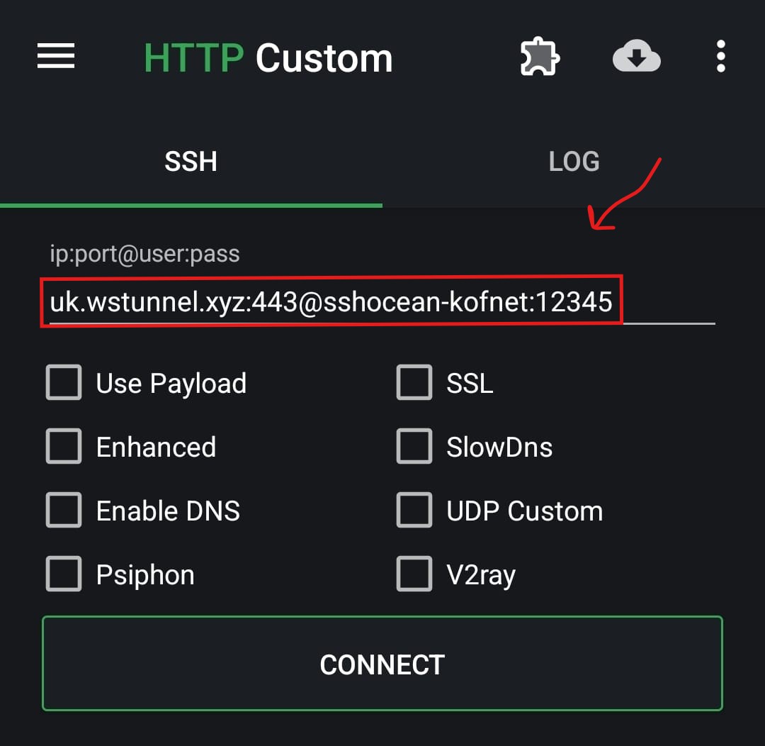 HTTP Custom Configuration Example