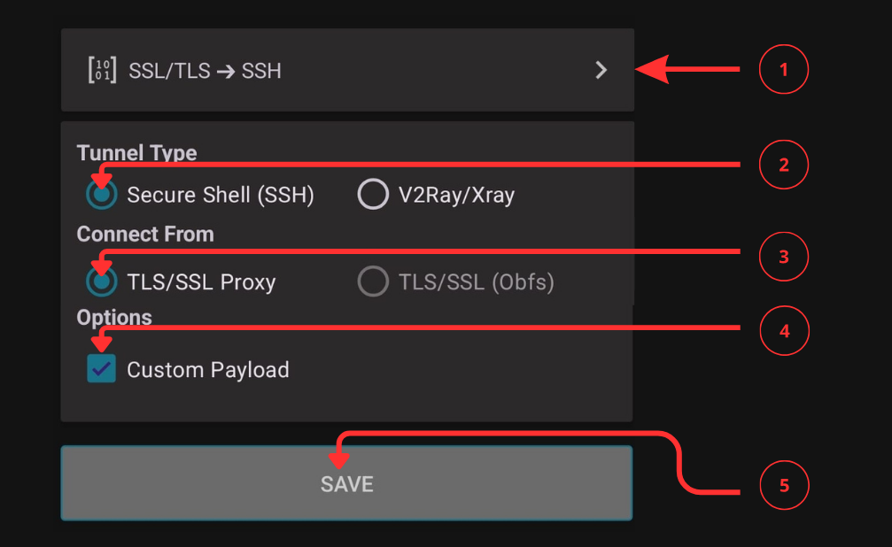 Main Setup Interface
