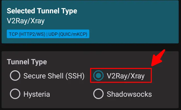 HTTP Injector V2Ray Selection