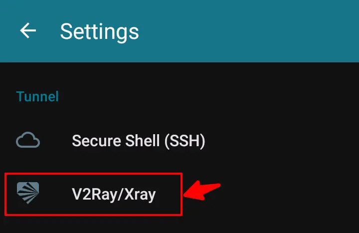 HTTP Injector V2Ray Settings